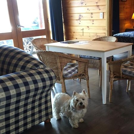 Molly'S Chase Bed & Breakfast Emu Flat Dış mekan fotoğraf