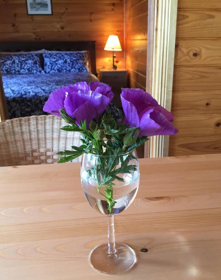 Molly'S Chase Bed & Breakfast Emu Flat Dış mekan fotoğraf